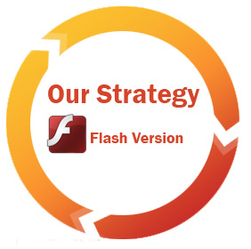 Our Strategy Flash Version